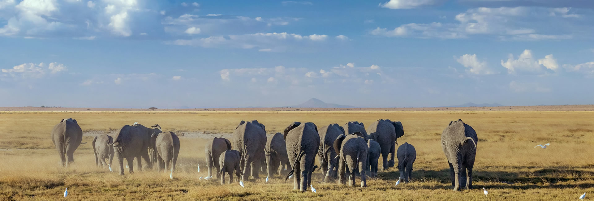 Read more about the article 3 Days Tsavo East and Amboseli National Park