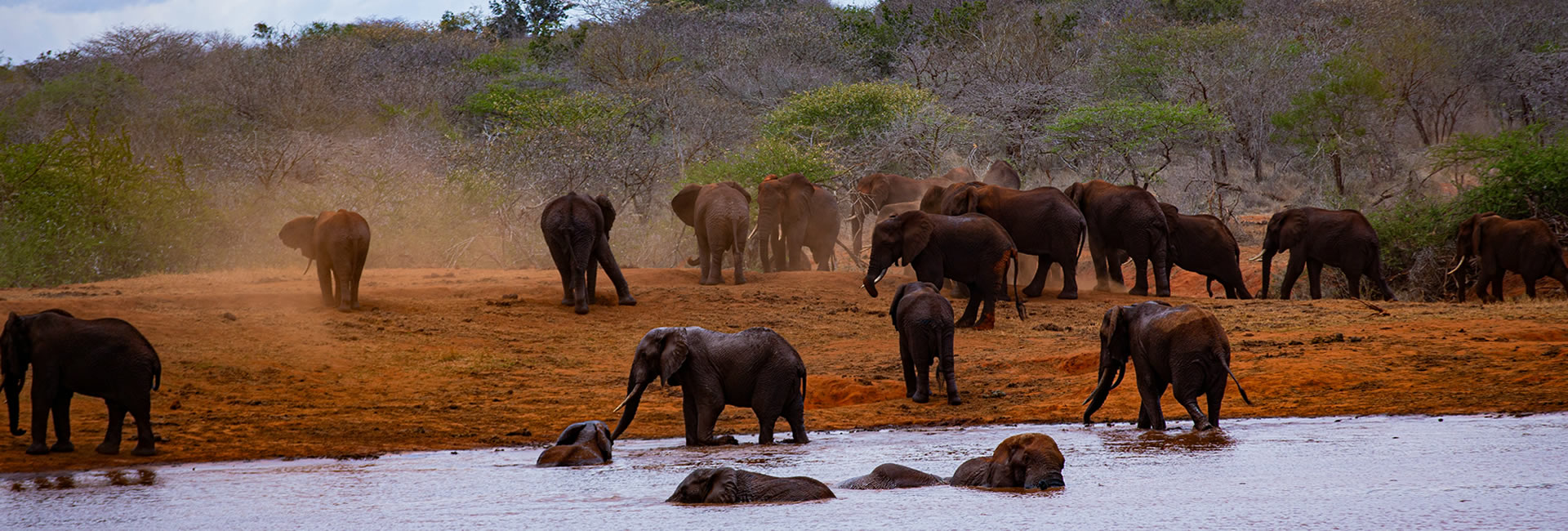 Read more about the article 2 Days Tsavo East Safari from Diani or Mombasa | Kenya Tour