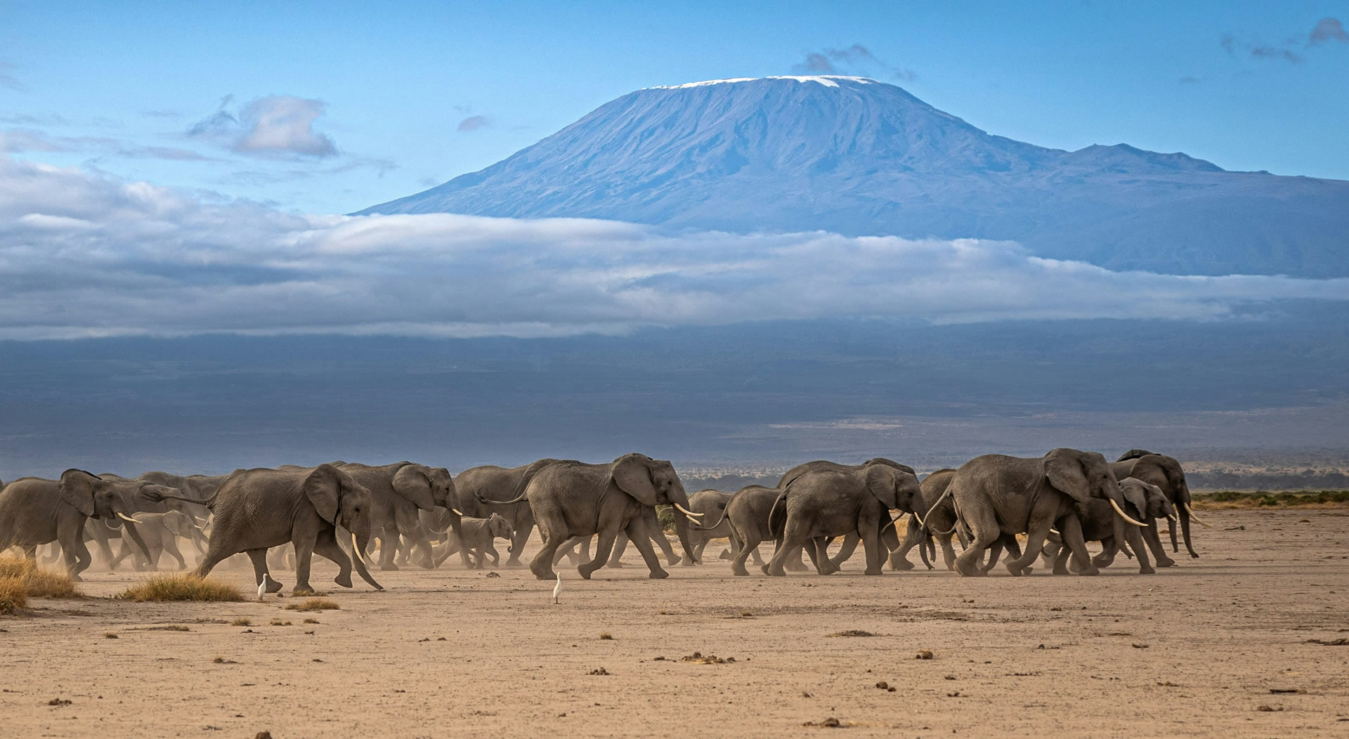 Read more about the article 6 Days Amboseli, Tsavo East & Tsavo West Safari from Mombasa | Sentrim Lodges Kenya