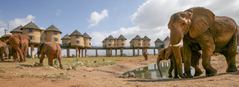 Explore Kenya- 4-Day Tsavo East, Tsavo West & Amboseli Safari Tour