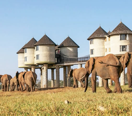 Read more about the article 6 Days Amboseli, Tsavo West & Tsavo East Safari from Mombasa