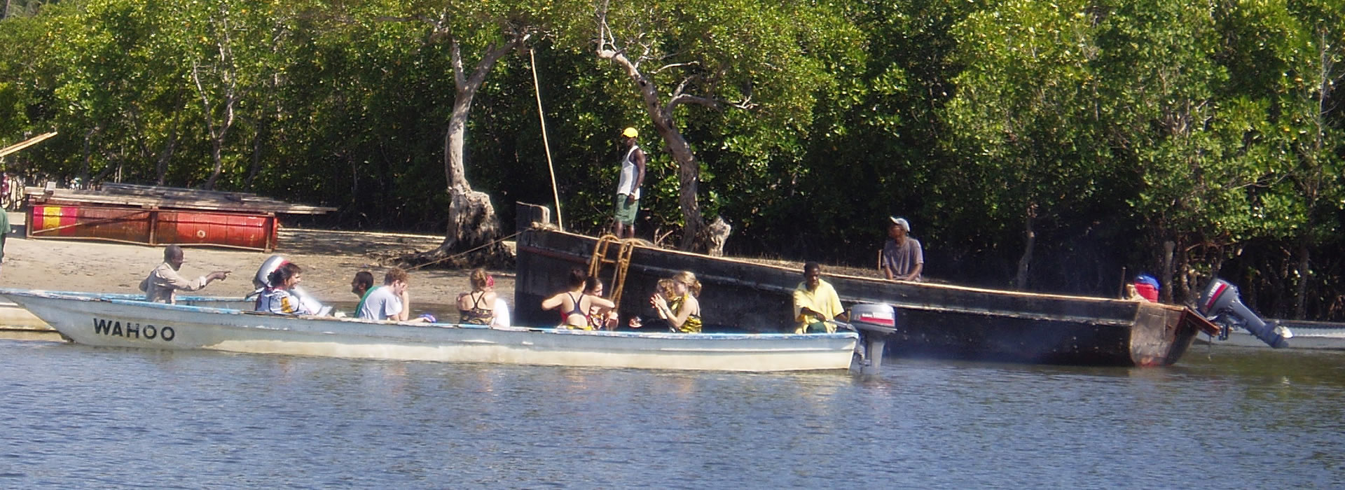 Read more about the article 1-Day Funzi Island Crocodile Dhow Tour