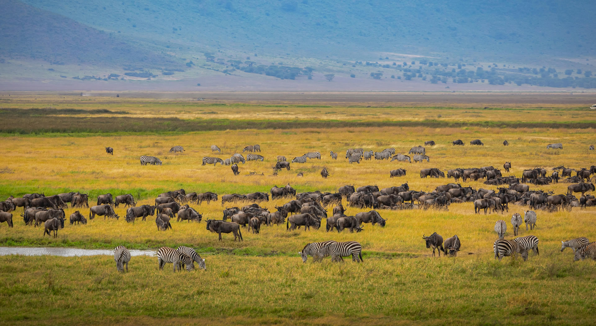 Read more about the article 4 Days Masai Mara Air safari